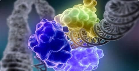 Hastalıklar ve Tedavileri