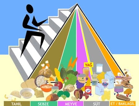 Beslenme Çeşitleri, Dengeli Beslenme