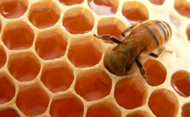 Kanser Tedavisi (Alternatif Tıp)