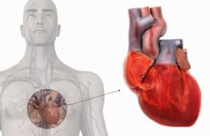 Kalp Kası Hastalıkları Tedavisi Mümkün Mü?