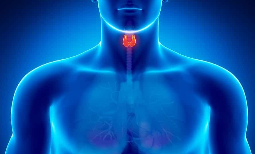 Guatr Hastalığı Nedir?