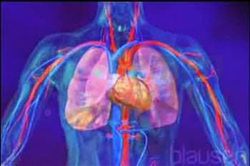 Renovasküler Hipertansiyon Nedir?