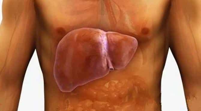 Karaciğer Yağlanması